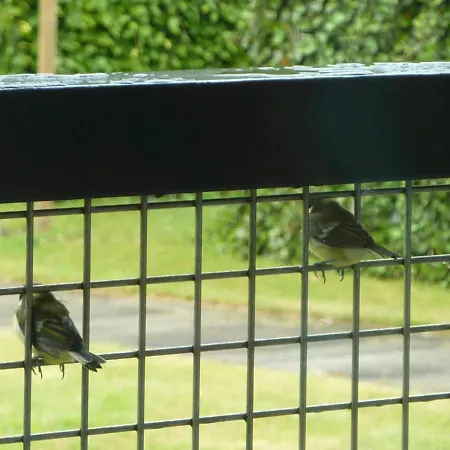Bed & Breakfast Bbvandeven Vessem